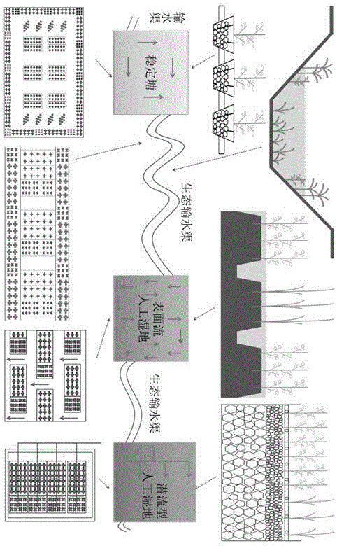 Method for increasing total nitrogen removal rate for imbalanced carbon-nitrogen wastewater wetland by using aquatic plants