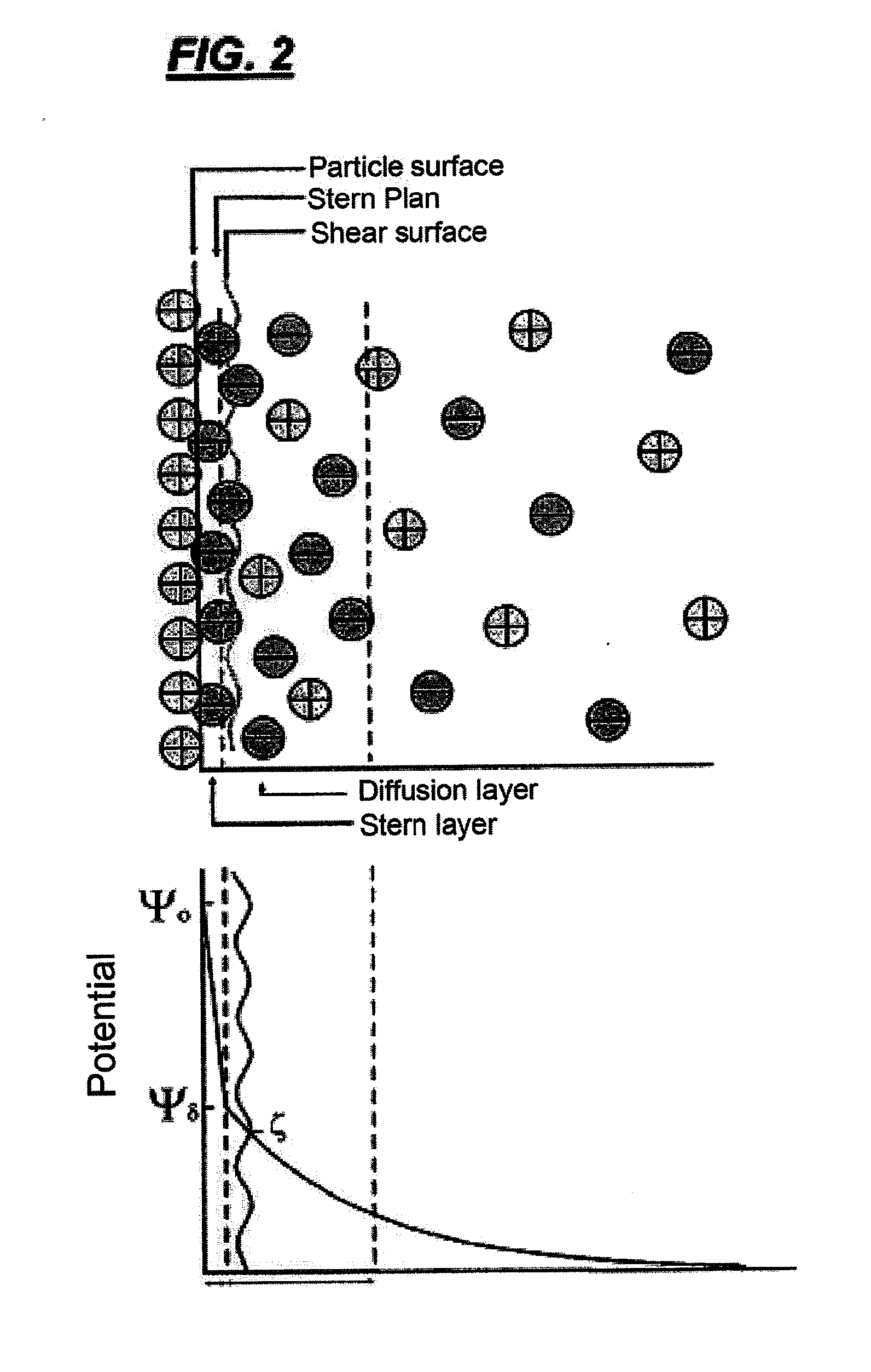 Method for isolating exosomes from biological solutions using iron oxide nanoparticles