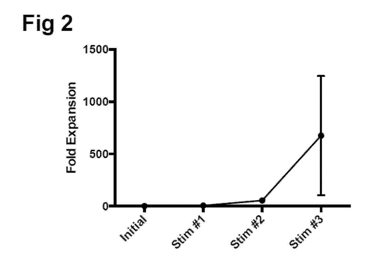 Generating HPV antigen-specific cells from a naive t cell population