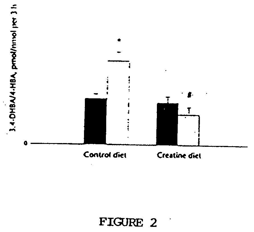 Use of creatine or creatine compounds for skin preservation