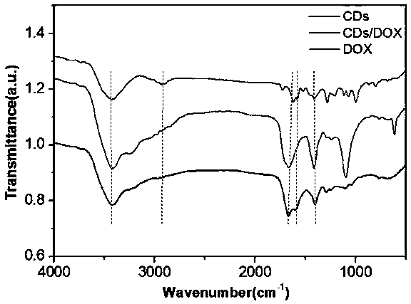 Carbon dots with tumor targeting function as well as preparation method and application thereof