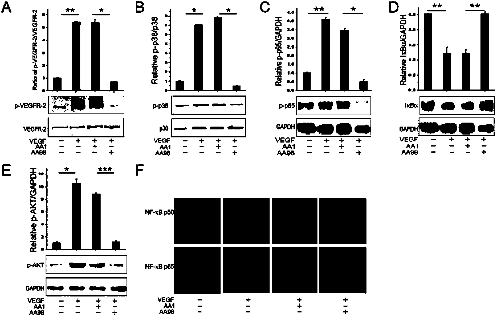 Application of novel function of CD146 targeted as co-receptor of vascular endothelial growth factor receptor-2 (VEGFR-2) in anti-tumor angiogenesis treatment