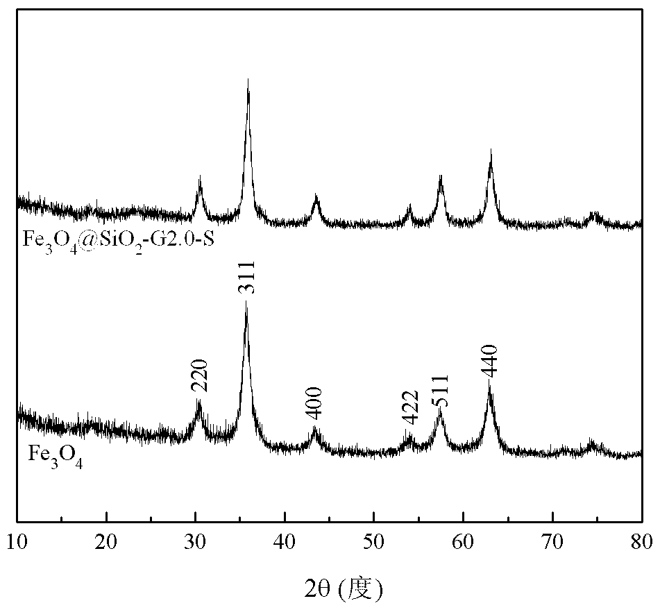 Preparation method of magnetic Fe3O4 loaded dendrimer adsorbent