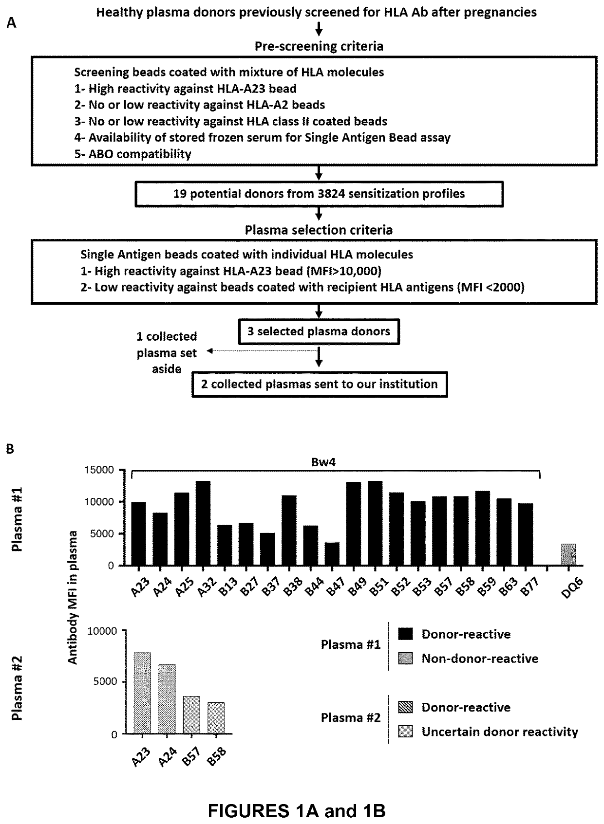 Treatment of acute gvhd using donor- specific Anti-hla antibodies