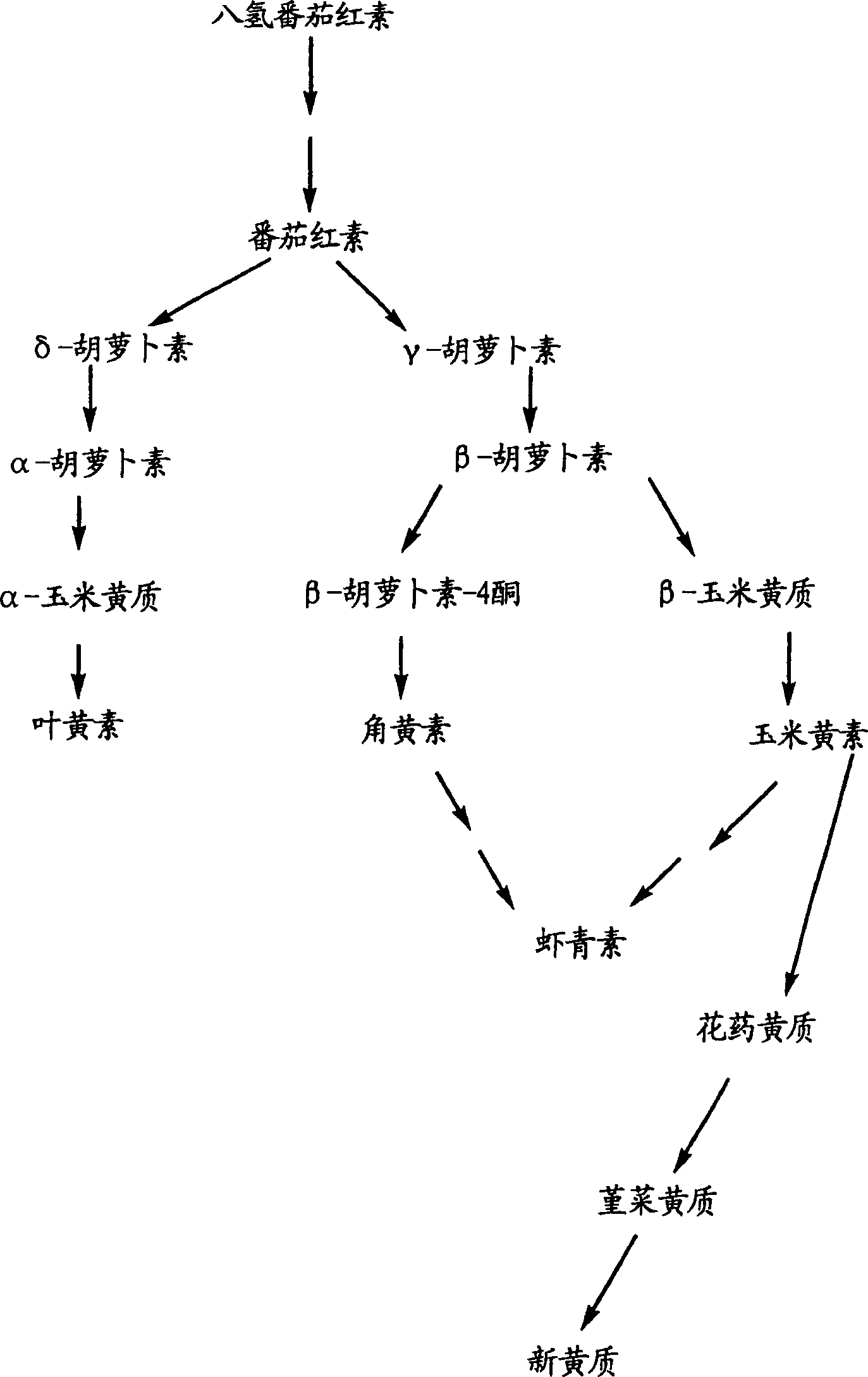 4-ketocarotenoids in flower petals