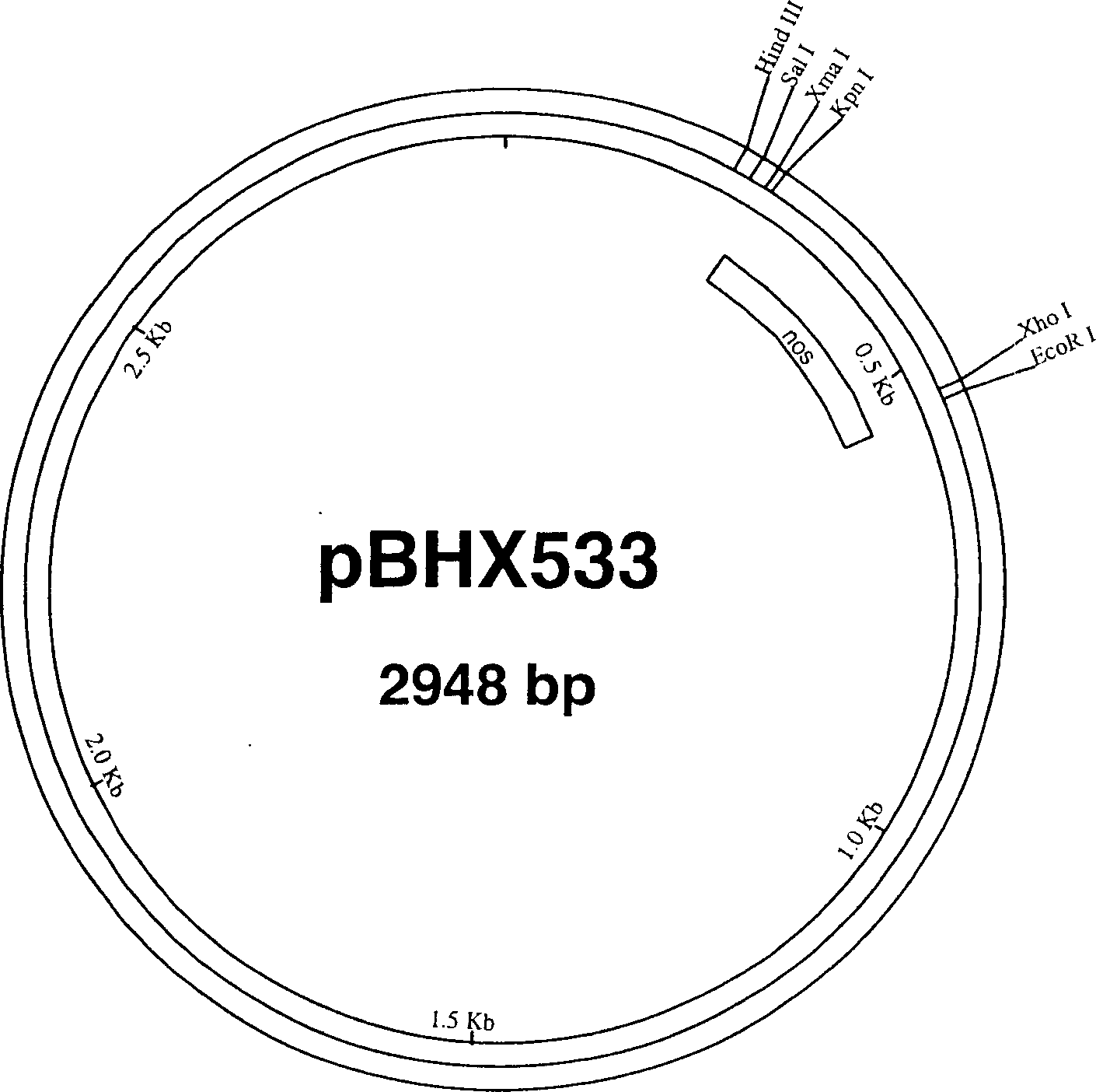 4-ketocarotenoids in flower petals