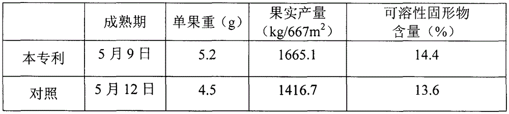 Excellent and labor-saving train-culturing method for fruit mulberry