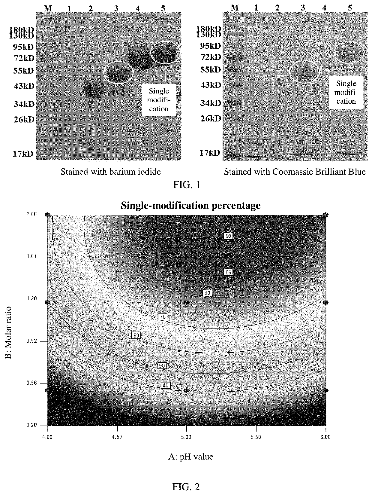 Modified recombinant human nerve growth factor and method for preparing the same