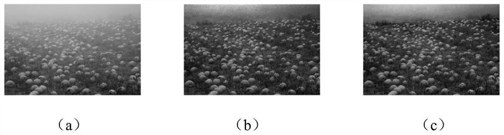 Improved dark channel defogging method adopting weighted least square filtering