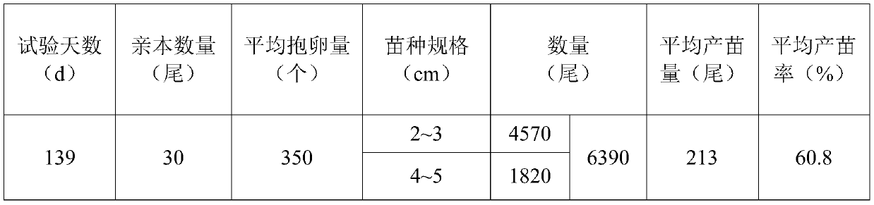 Method for breeding crayfish in workshop in early spring