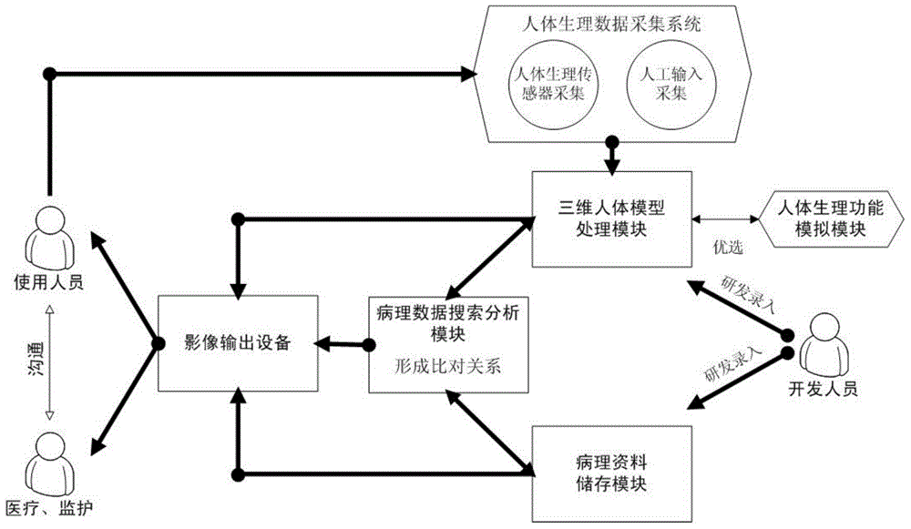 Three-dimensional visualization doctor-patient communication platform construction method and system