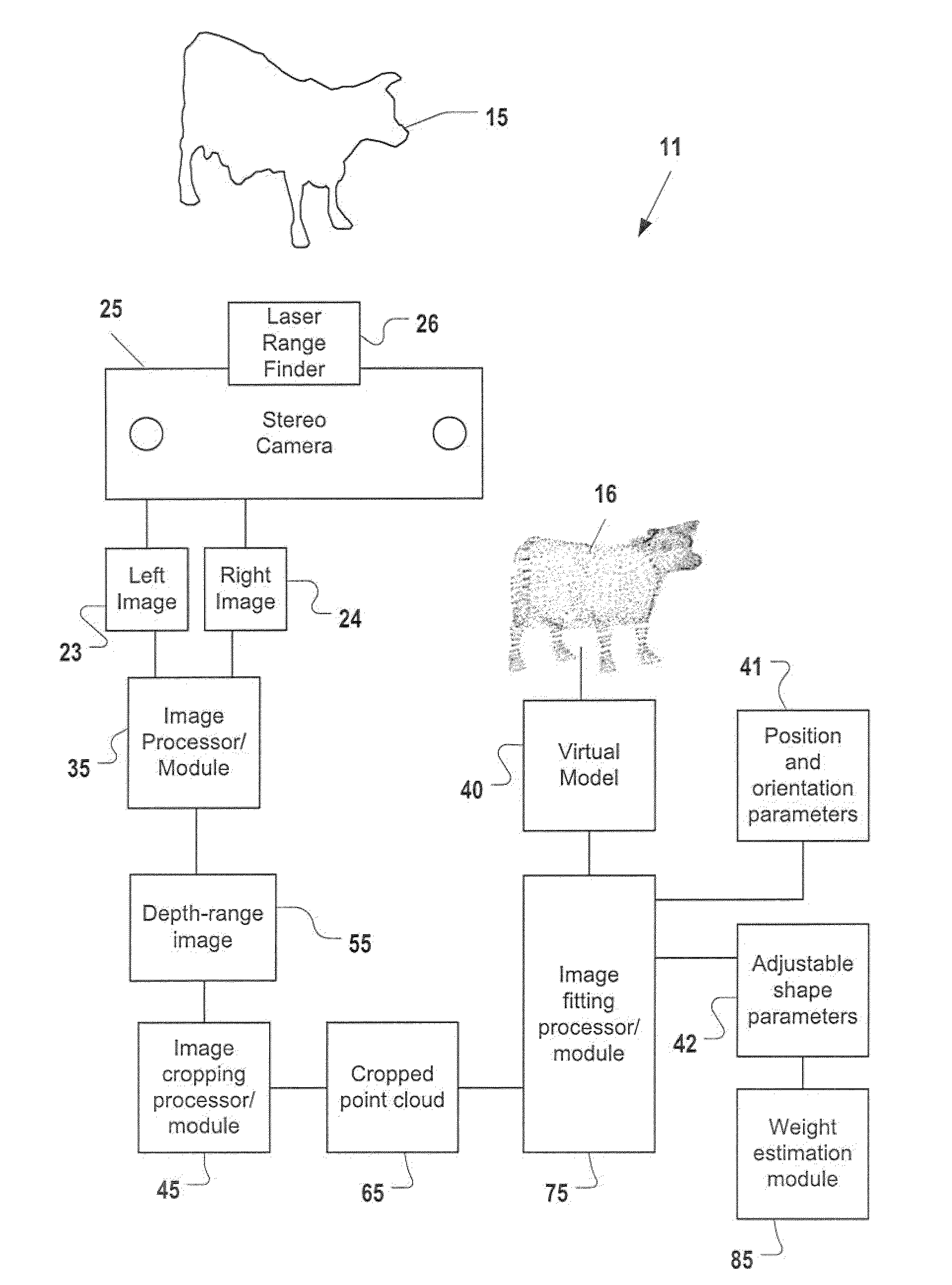 Remote Contactless Stereoscopic Mass Estimation System