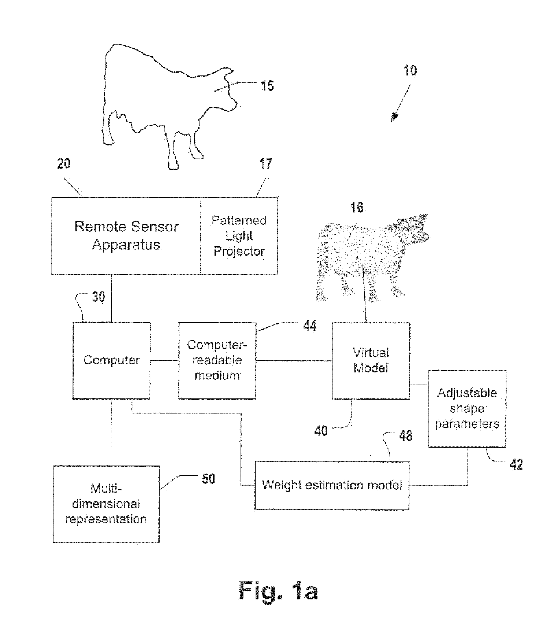 Remote Contactless Stereoscopic Mass Estimation System