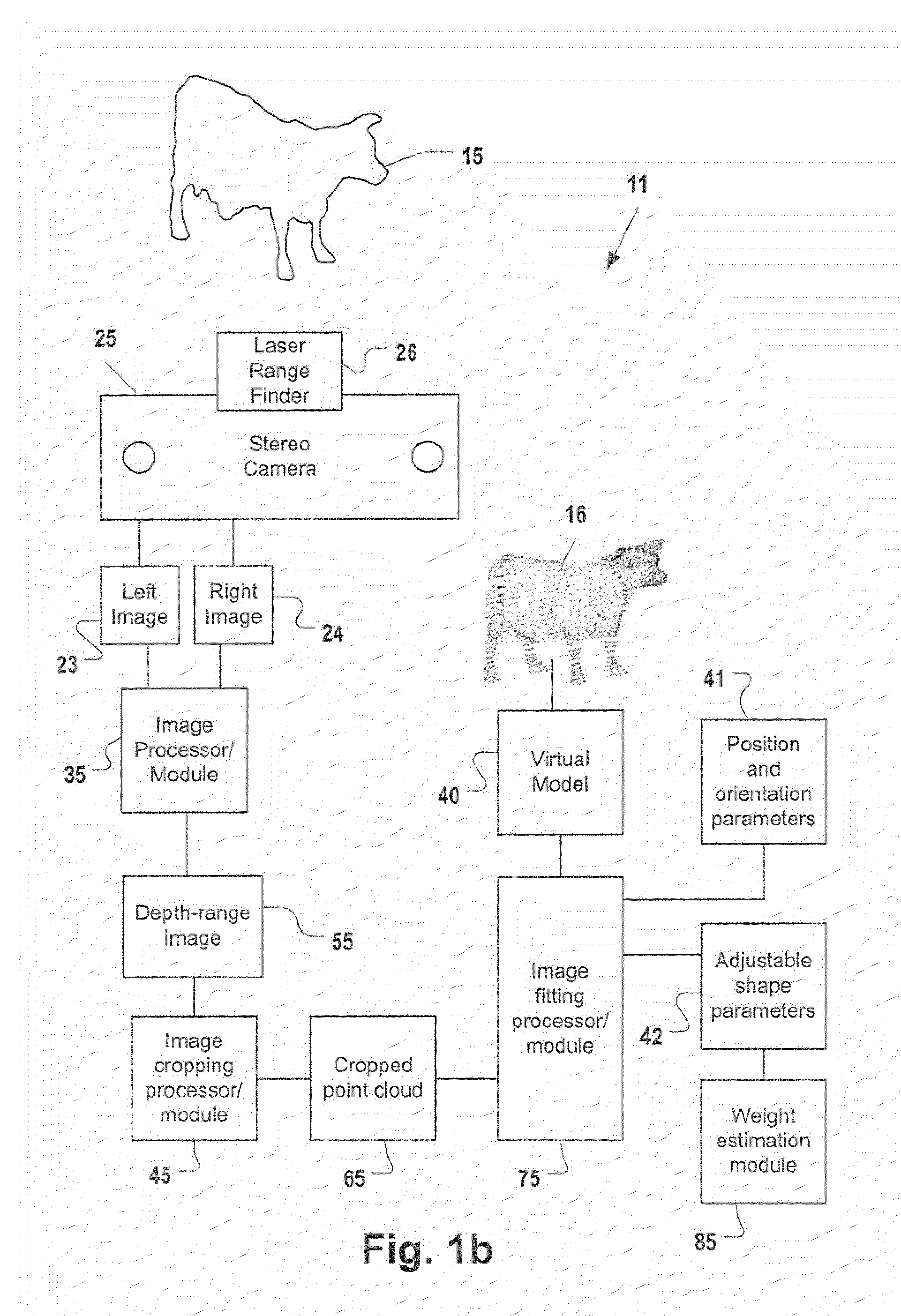 Remote Contactless Stereoscopic Mass Estimation System