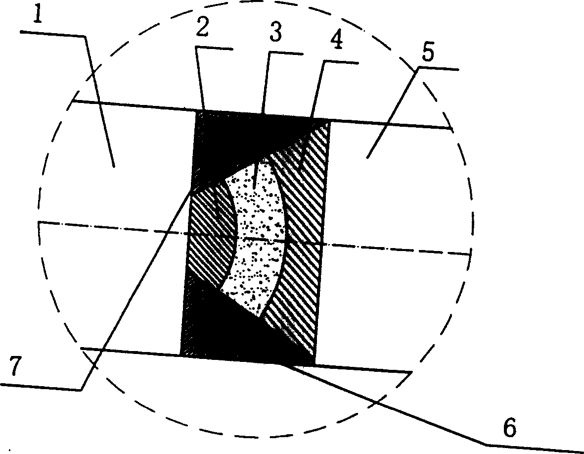 Radiation magnetic field sintered rare-earth permanent magnetic tile and its magnetic processing method