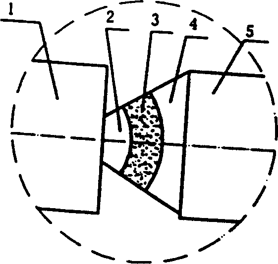 Radiation magnetic field sintered rare-earth permanent magnetic tile and its magnetic processing method