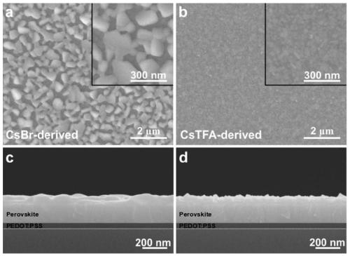 Trifluoroacetate induction based small-grain CsPbX3 perovskite thin film preparation method