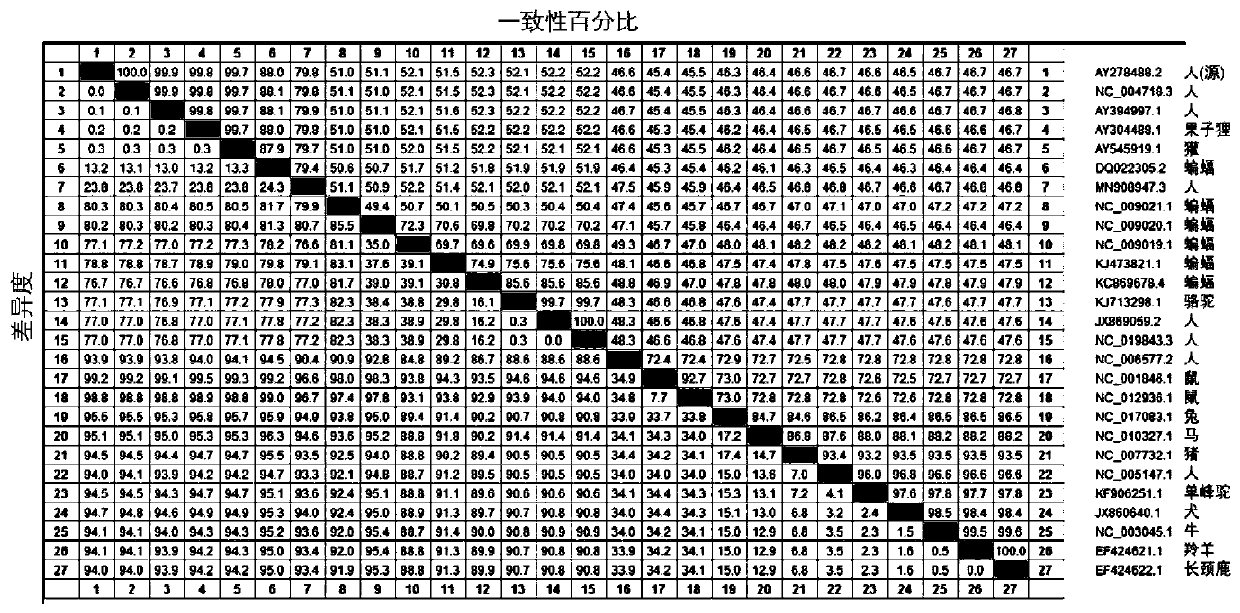 Integrated molecular diagnosis system and application thereof in tracing animal source of beta coronavirus