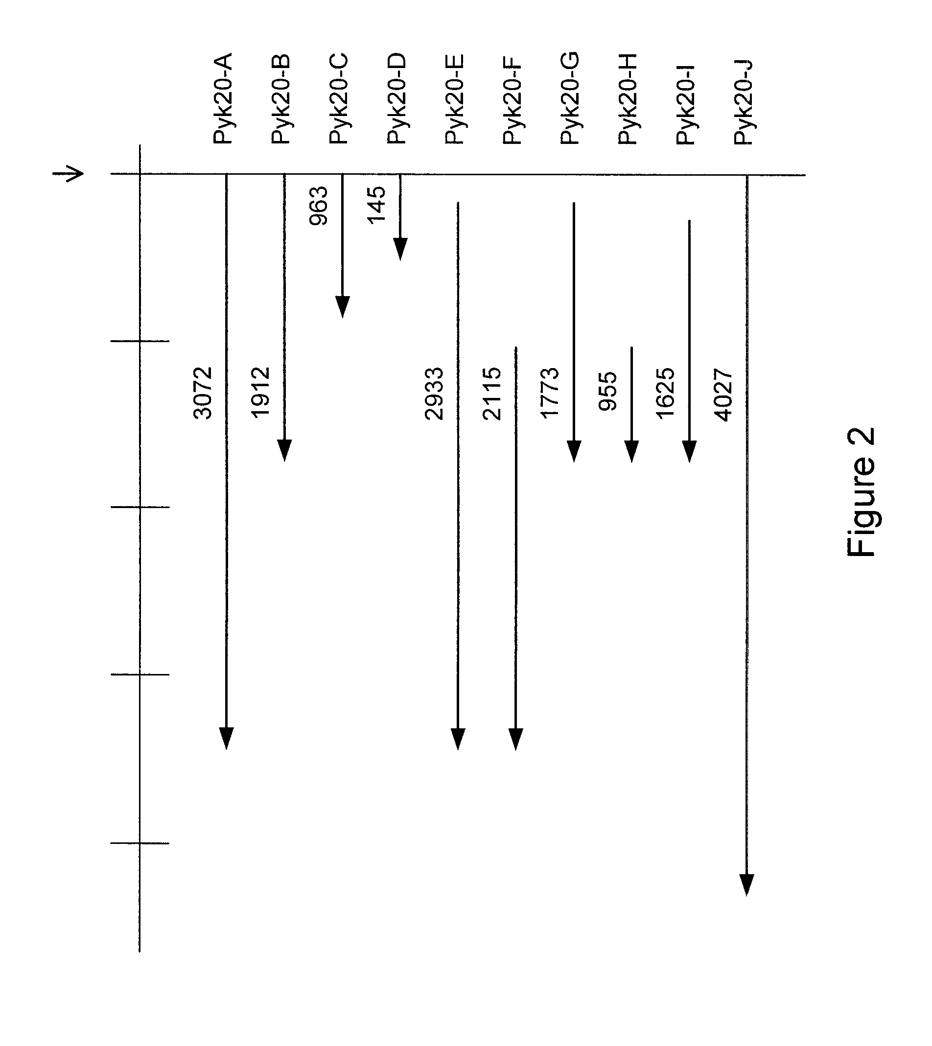 Nematode-feeding structure specific gene and its application to produce nematode resistant plants