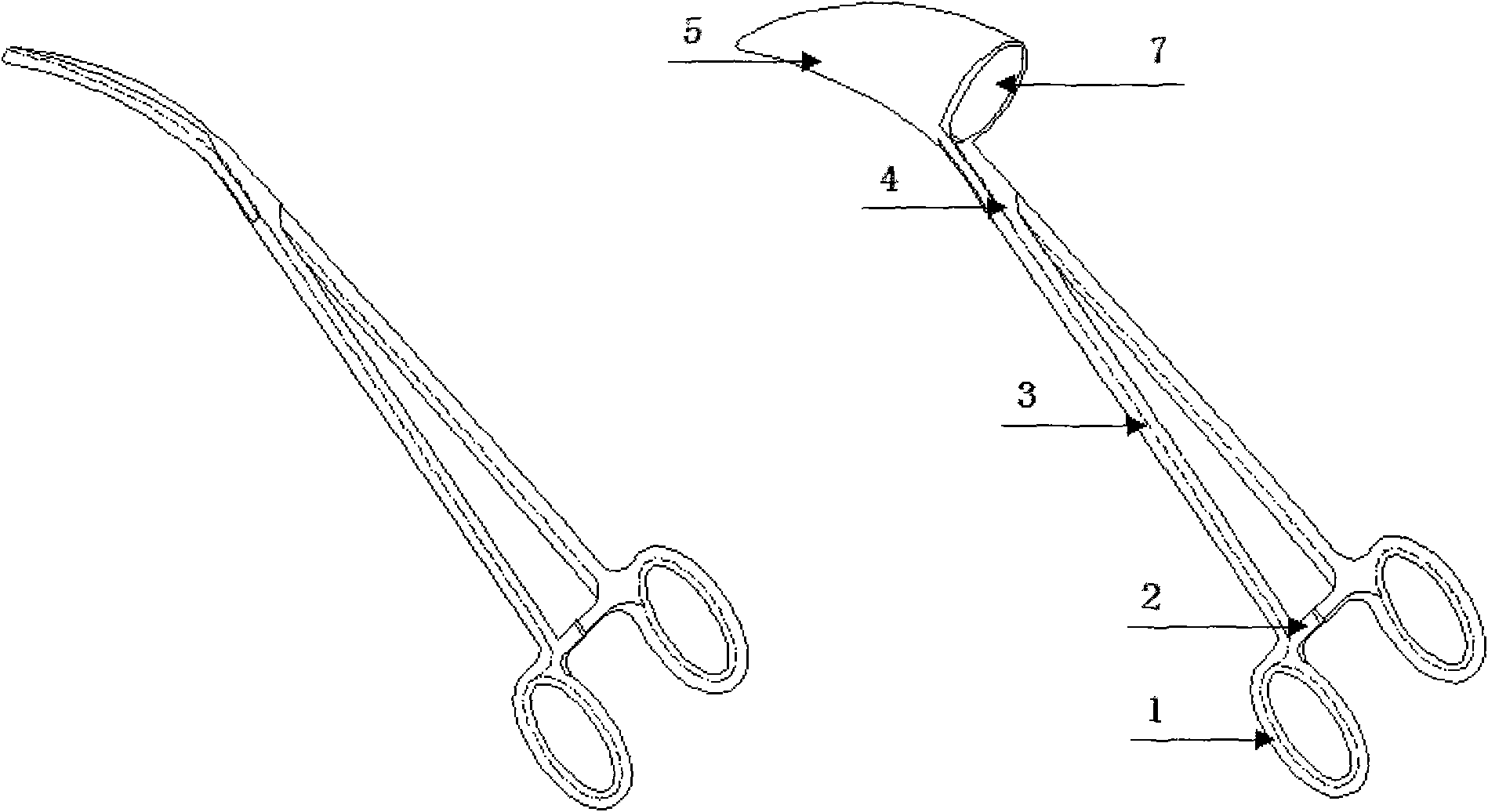 Curved hemostatic forceps for conveniently placing intrathoracic drain