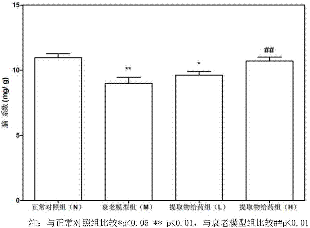 Application of aronia melanocarpa fruit extract in preparing anti-aging drug