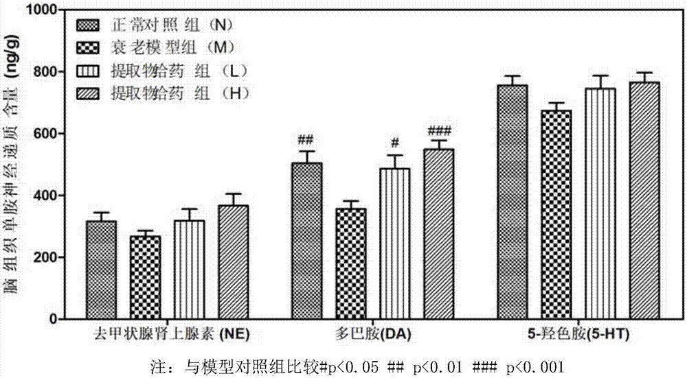 Application of aronia melanocarpa fruit extract in preparing anti-aging drug