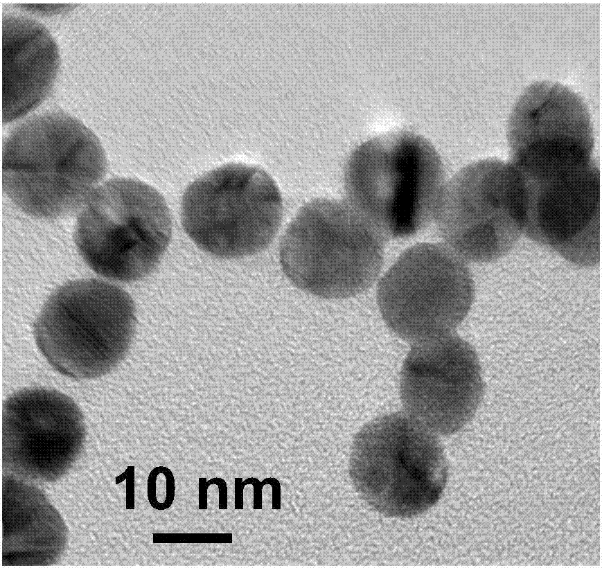 Mercury ion probe as well as preparation method and application thereof