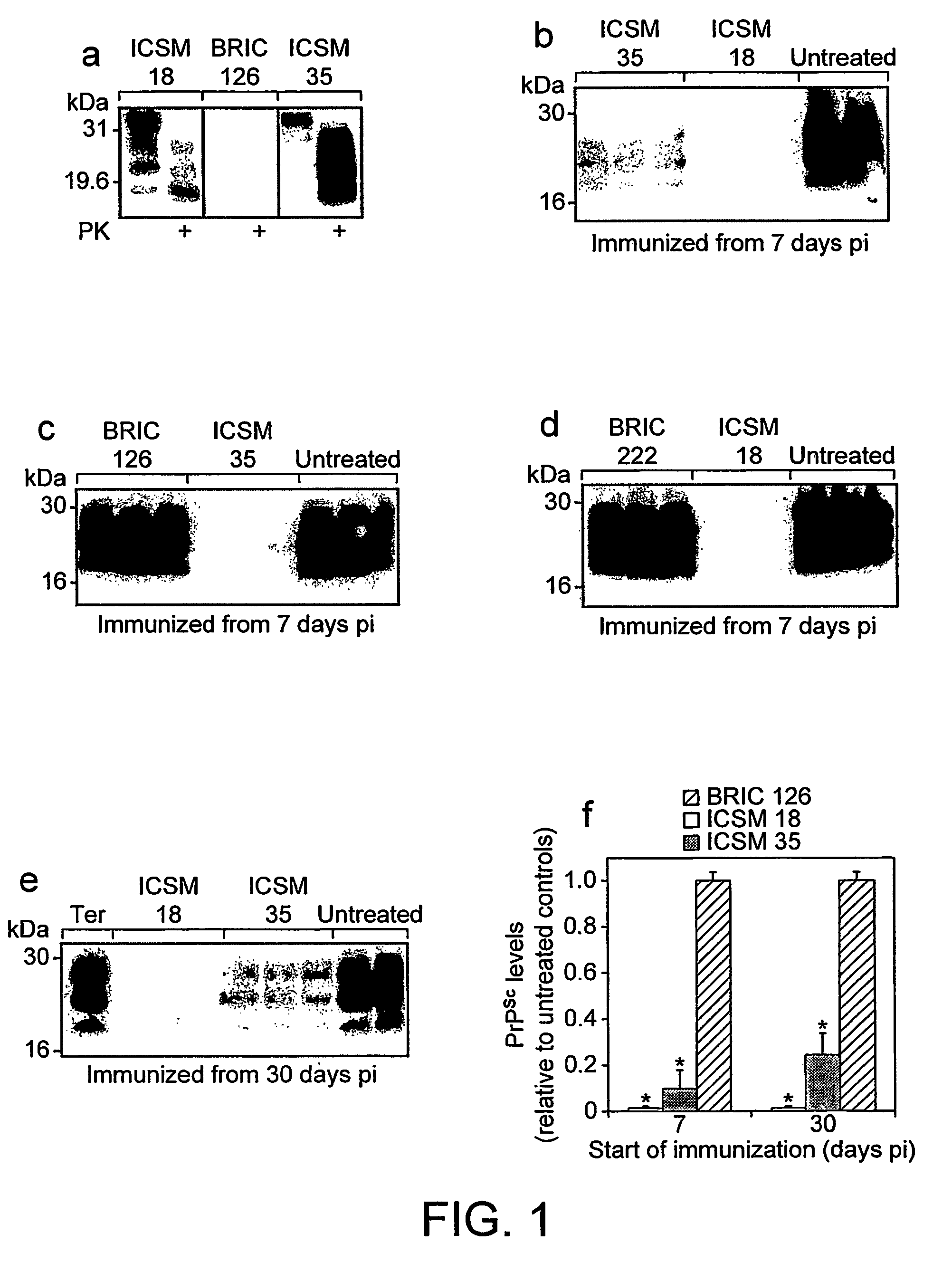 Prion inhibition