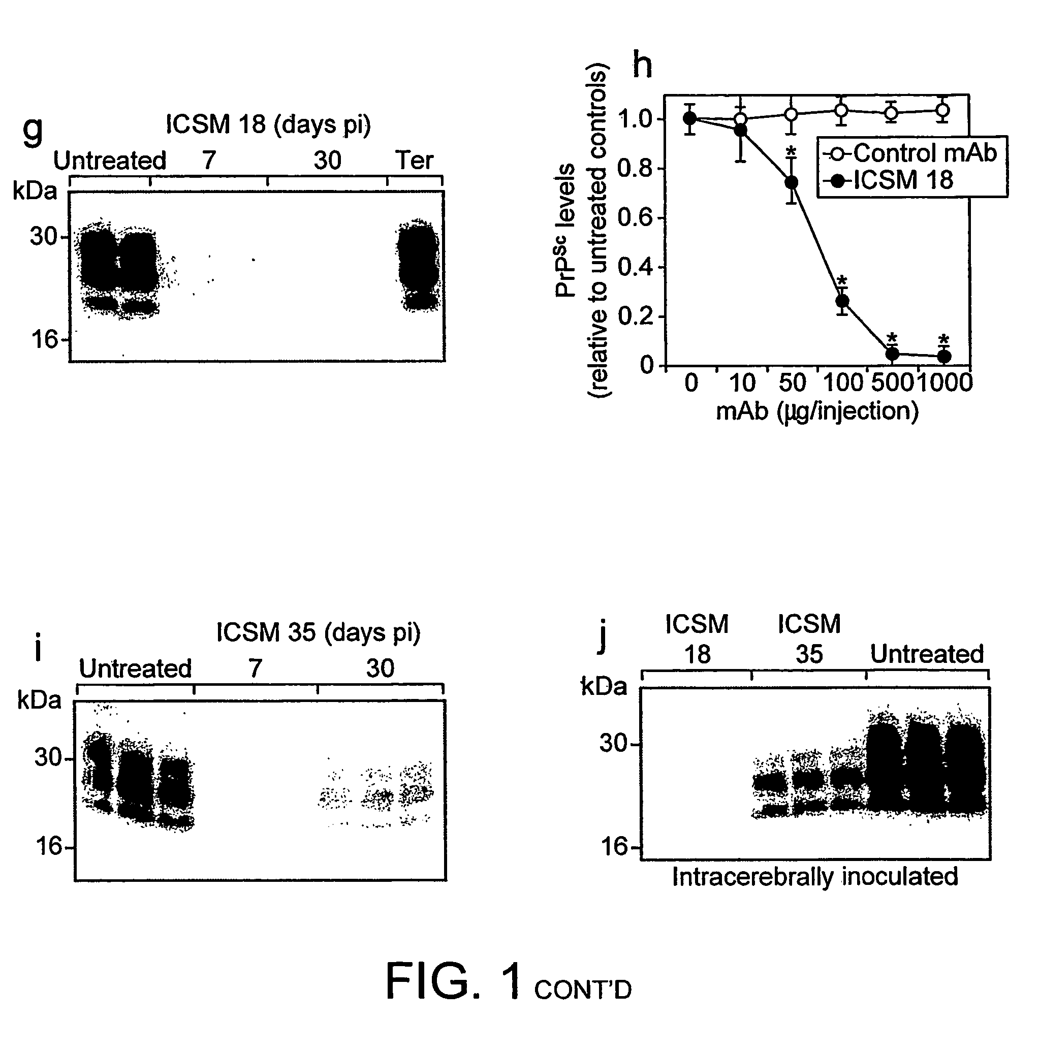 Prion inhibition