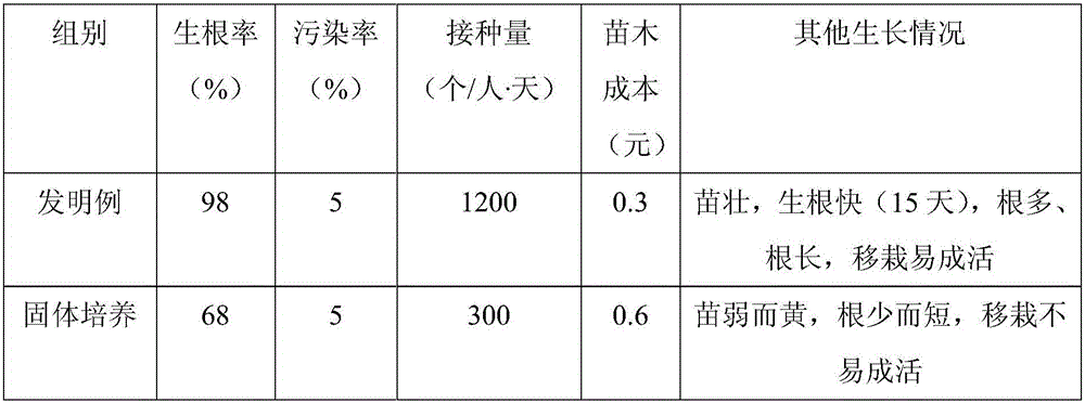 A kind of liquid rooting method and special culture container of blueberry tissue culture seedling