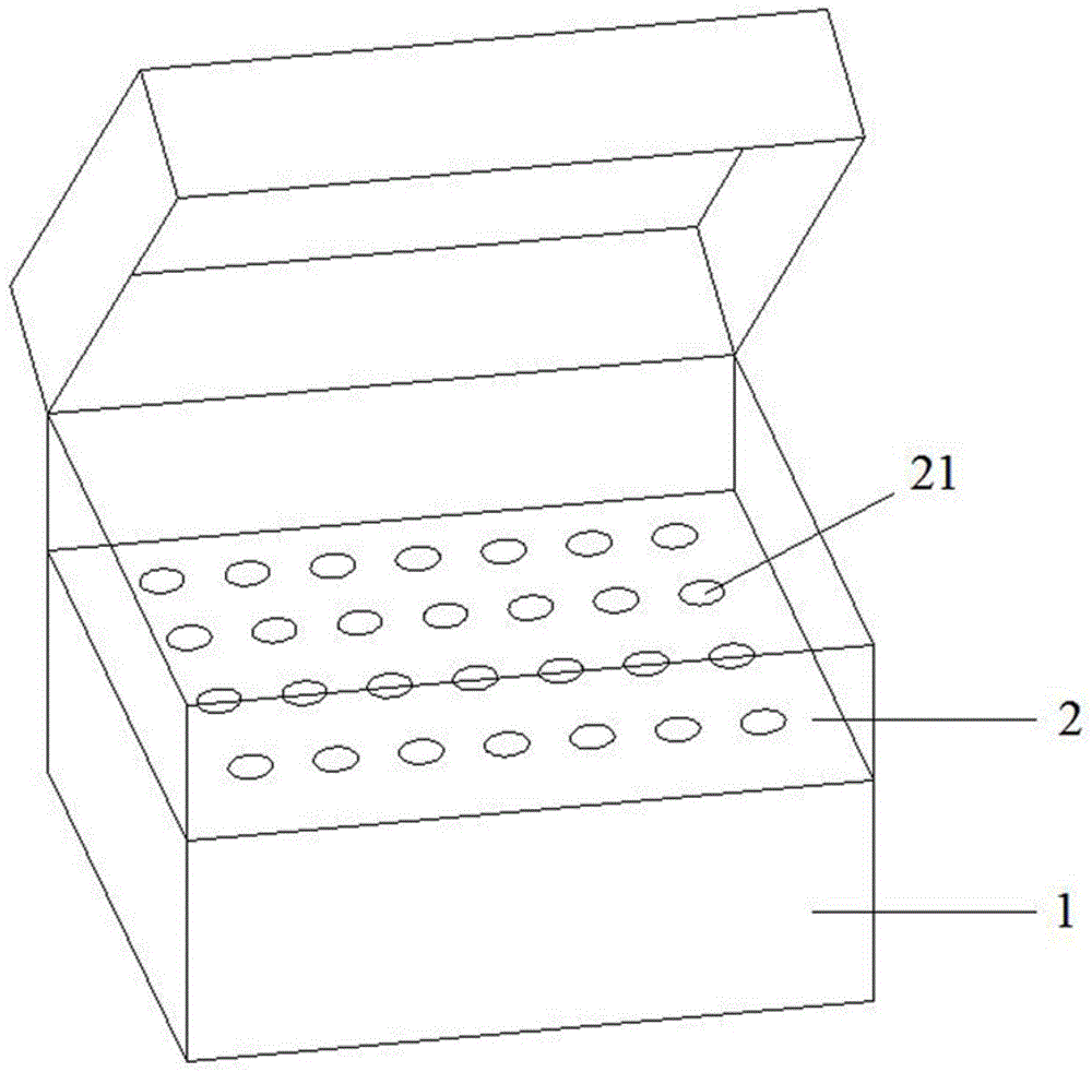 A kind of liquid rooting method and special culture container of blueberry tissue culture seedling