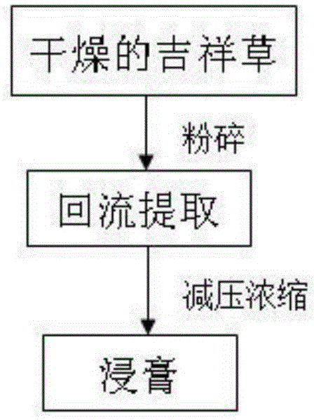 Application of steroid saponin RCE-4 in preparation of medicines for preventing or treating tumors