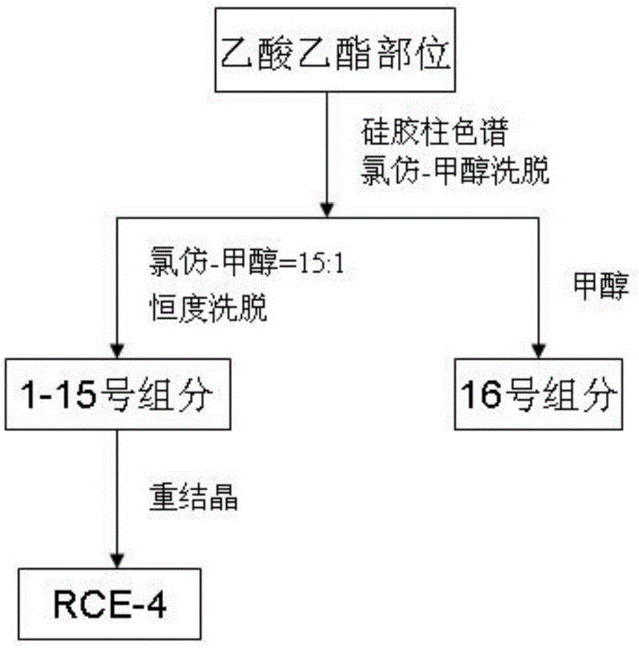 Application of steroid saponin RCE-4 in preparation of medicines for preventing or treating tumors