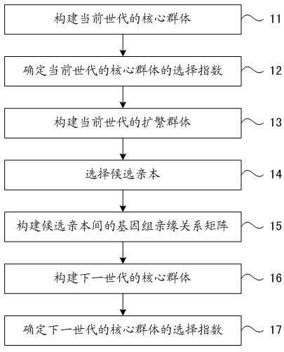 Shrimp selective breeding method based on propagation expanding population