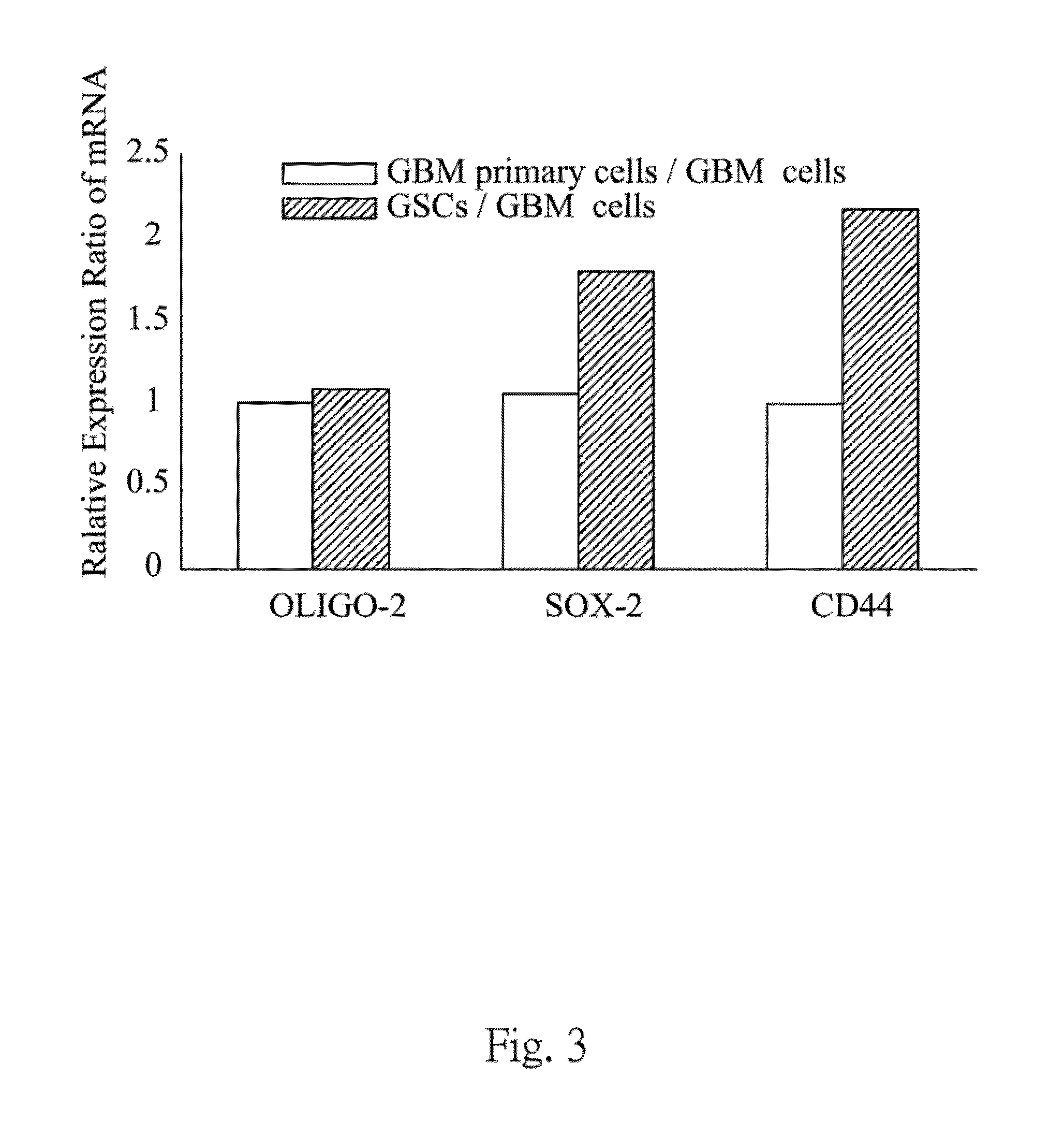 Dendritic cell tumor vaccine and method for preparing the same