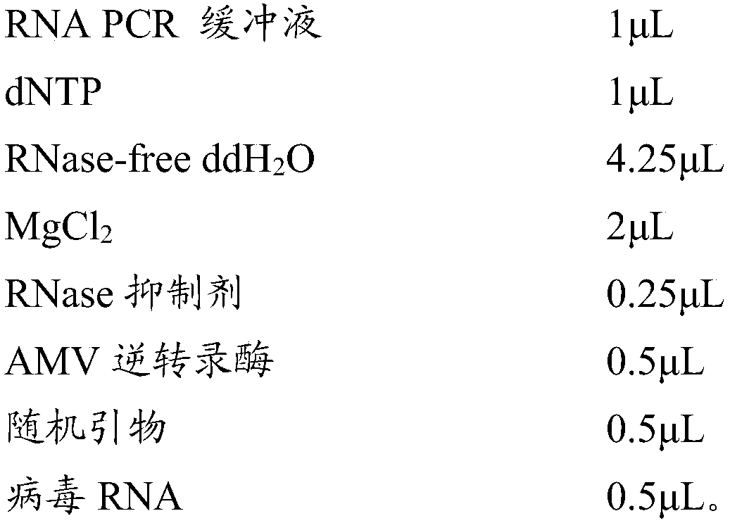 PCR (Polymerase Chain Reaction) primer for simultaneously detecting RHDVa (Rabbit Hemorrhagic Disease Virus a) and RHDVb (Rabbit Hemorrhagic Disease Virus b) as well as kit and non-diagnosis-purpose detection method thereof