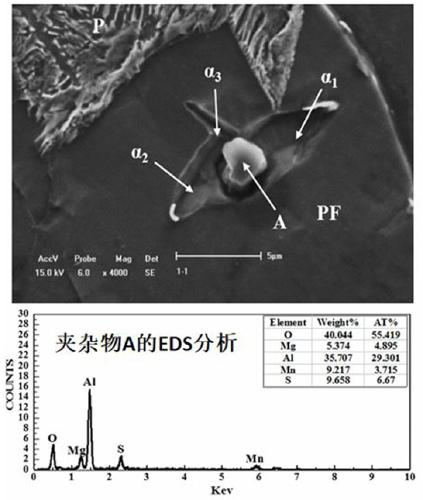 Low-cost magnesium-treated microalloyed steel and preparation method thereof