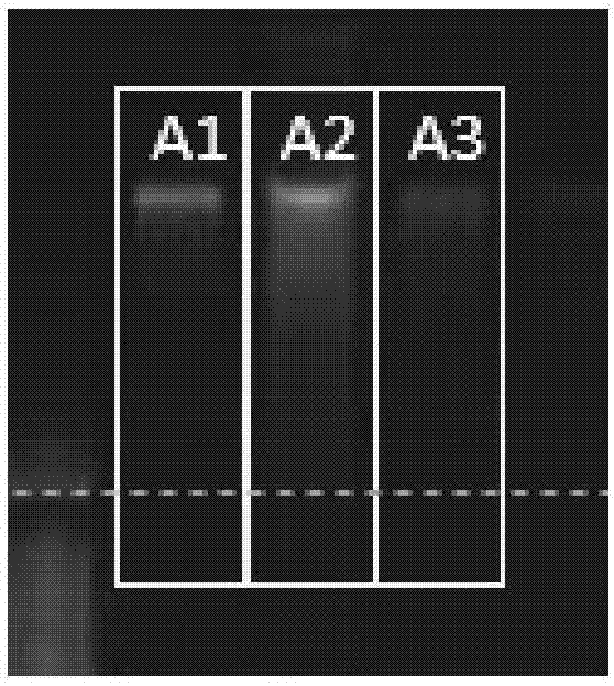 Nucleic-acid extraction kit and application thereof