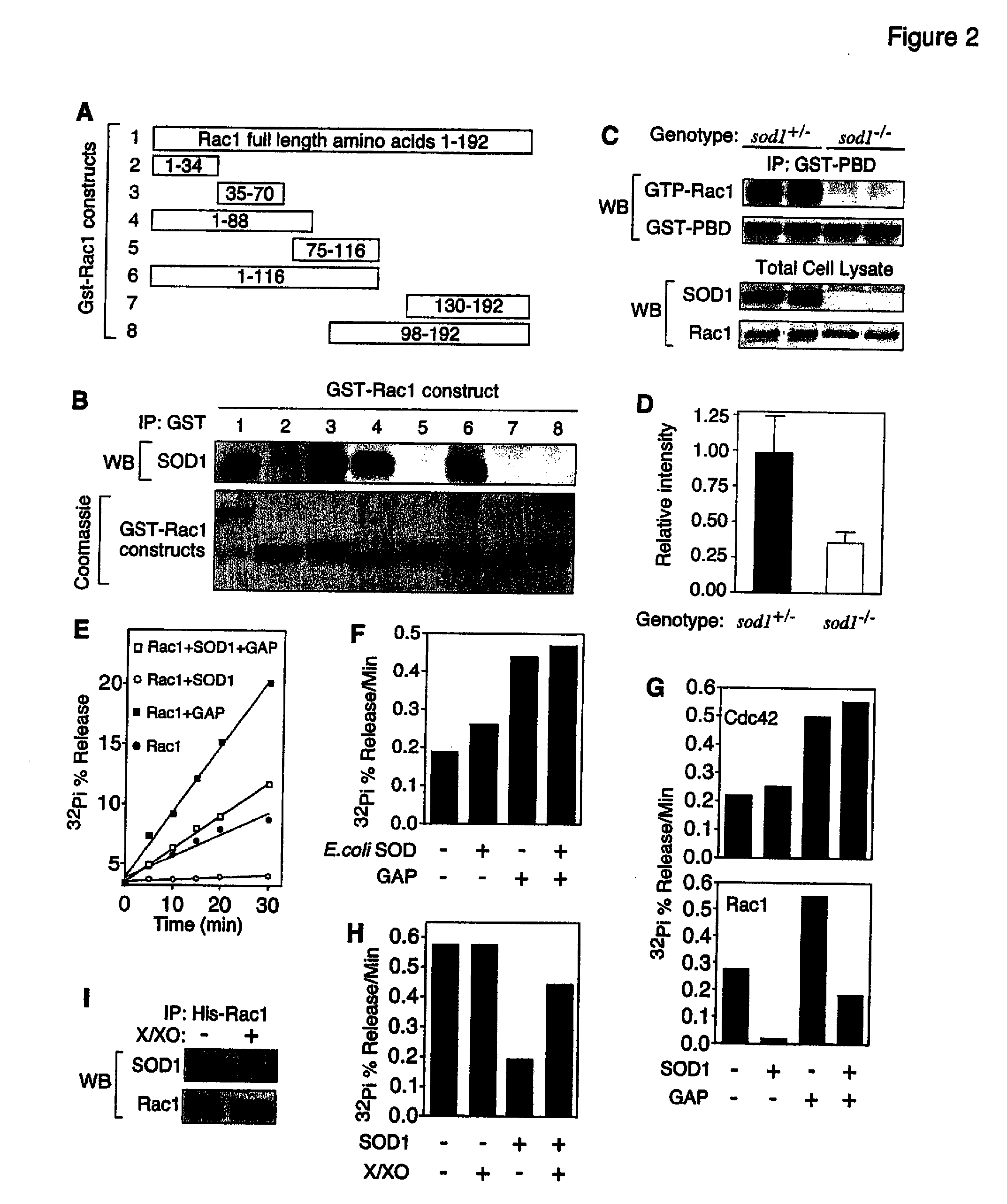 Method of identifying compounds useful to treat neuronal degenerative diseases