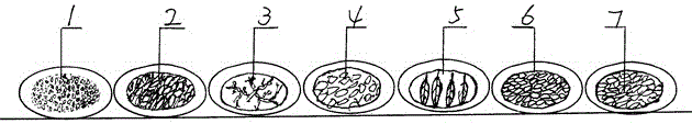 Methods for preparing and using bagged blood glucose reduction tea