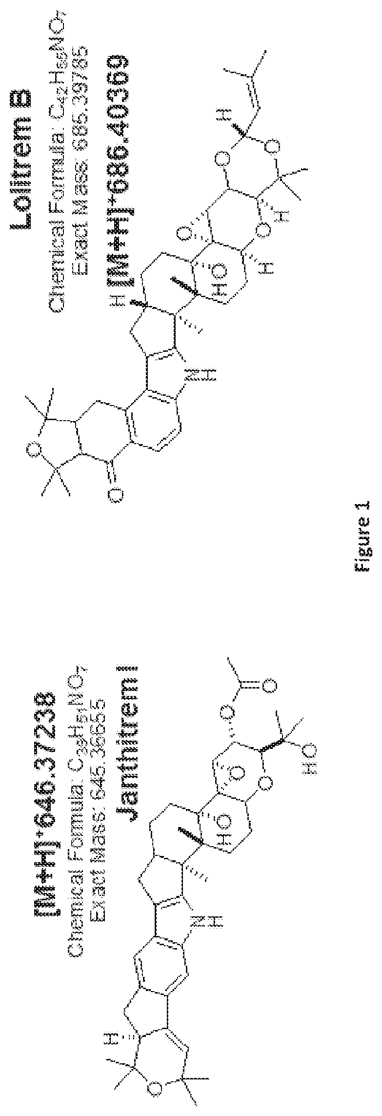 Metabolite production in endophytes