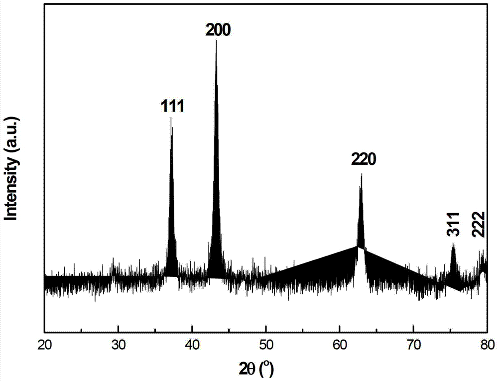 Preparation method for carbon/nanometer NiO composite material