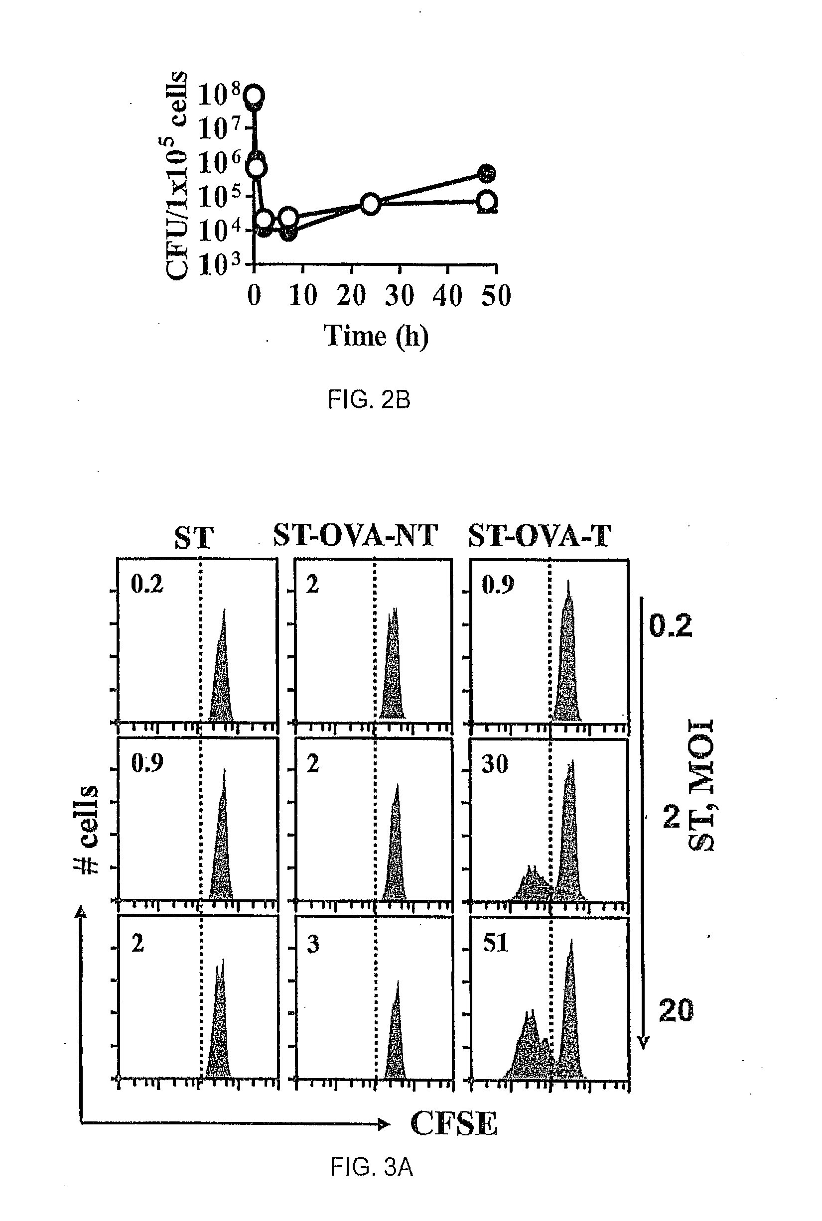 Recombinant Bacterium and Uses Thereof