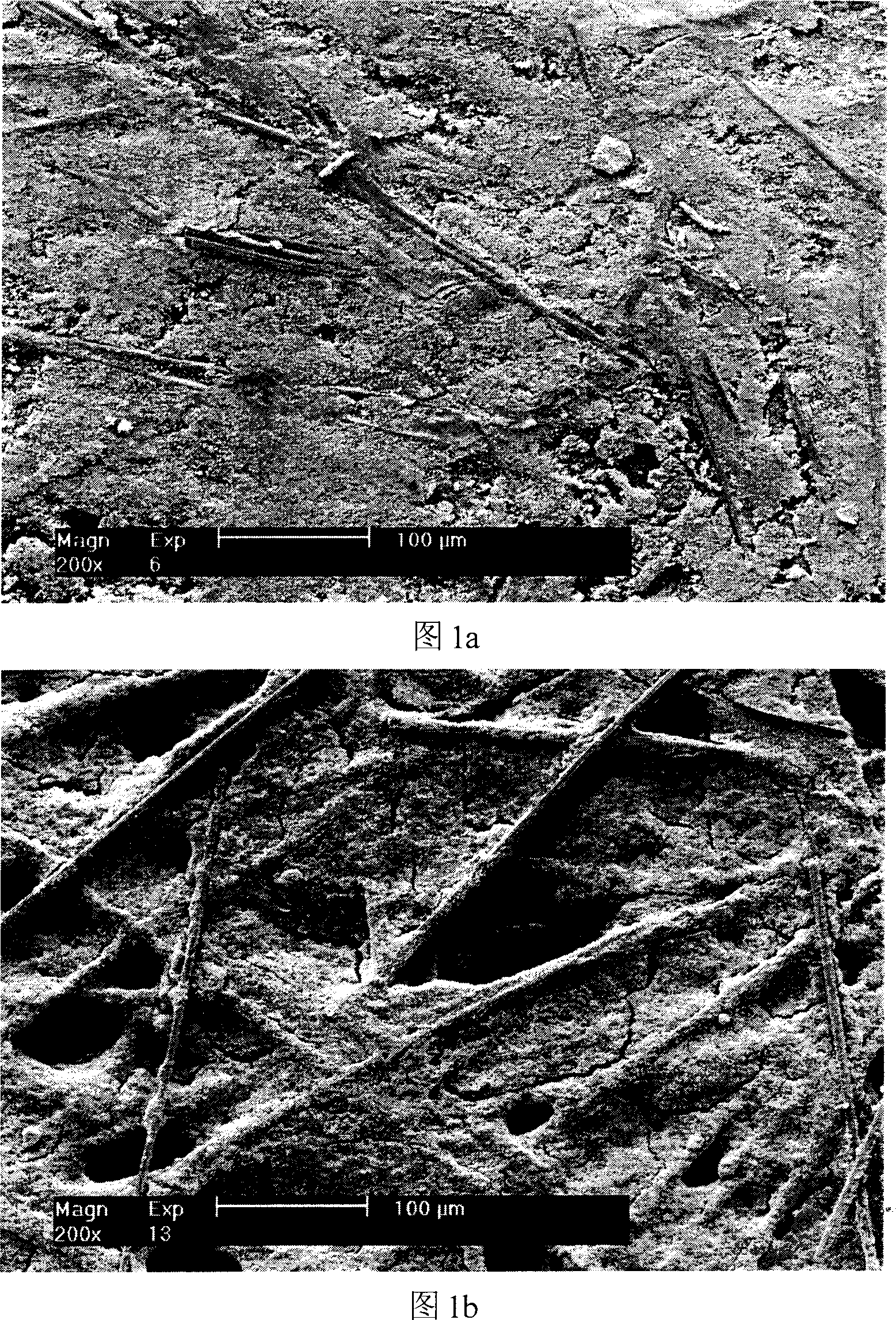 Gas diffusion layer for proton exchanging film fuel cell and its preparing method