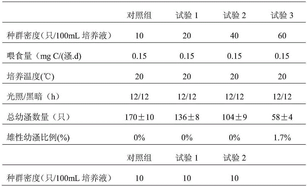 Method for quickly identifying sex of young daphnia of daphnia magna