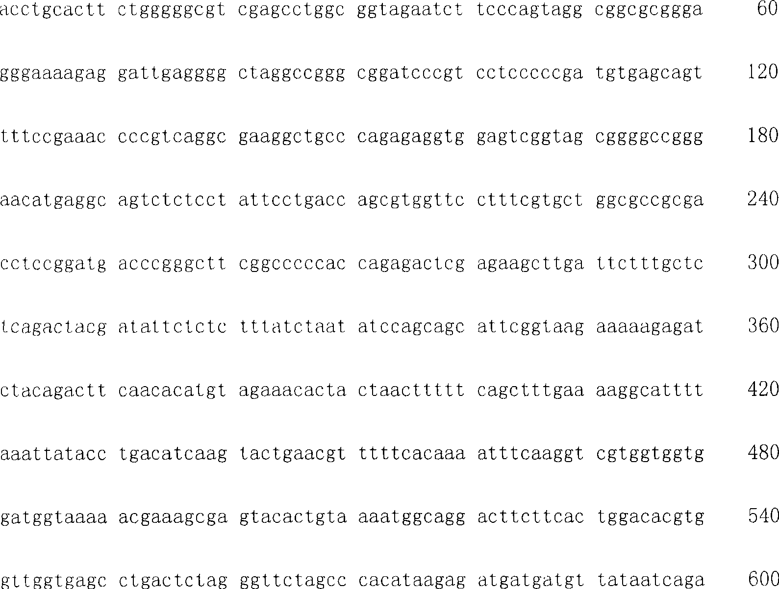 RNAi-mediated inhibition of tumor necrosis factor alpha-related conditions