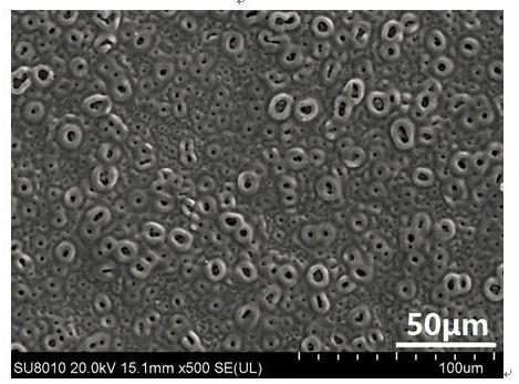 Preparation method for titanium oxide/tin oxide composite membrane for sodium ion battery cathode