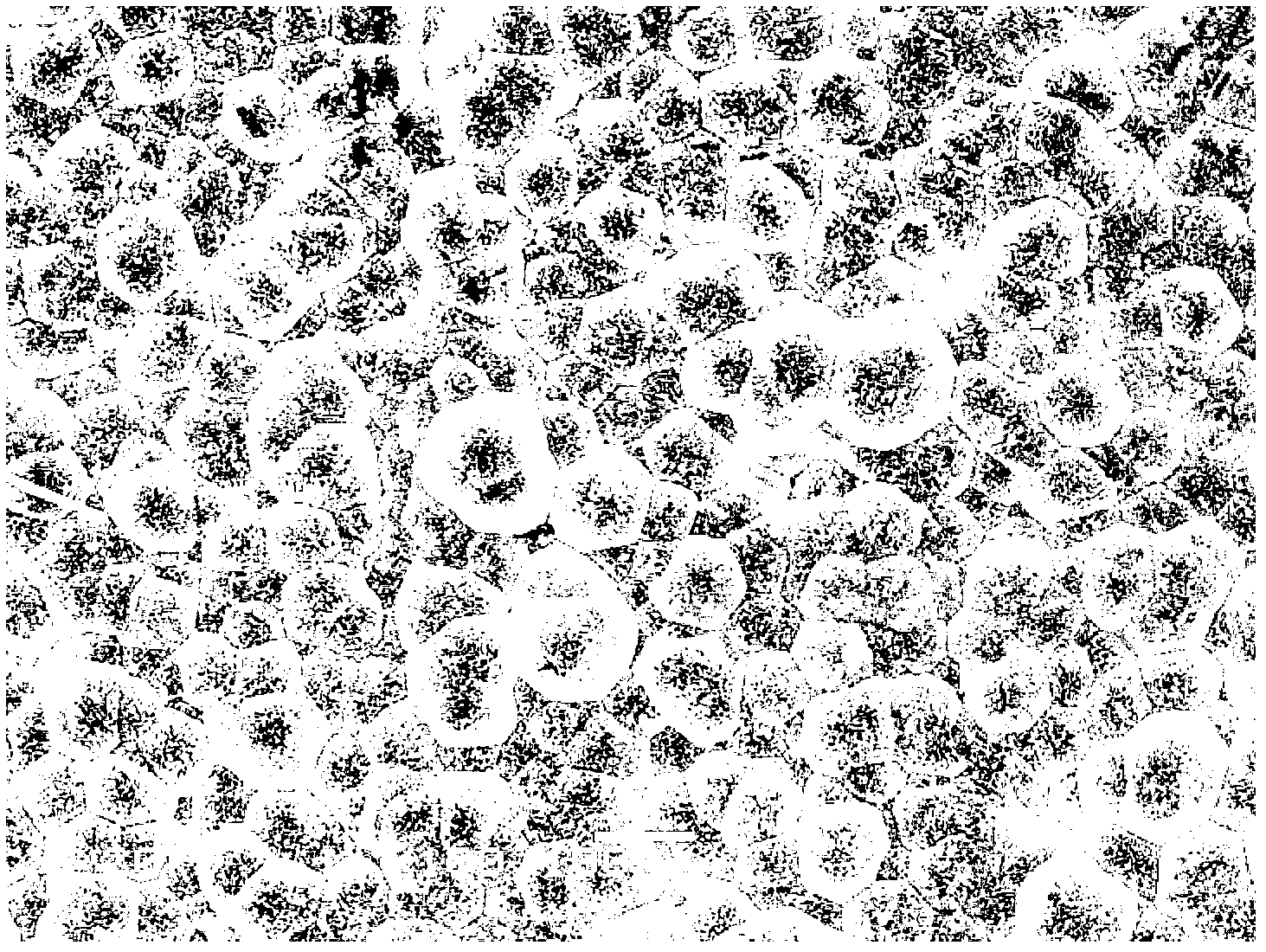 Method for preparing silicon carbide coating on graphite surface