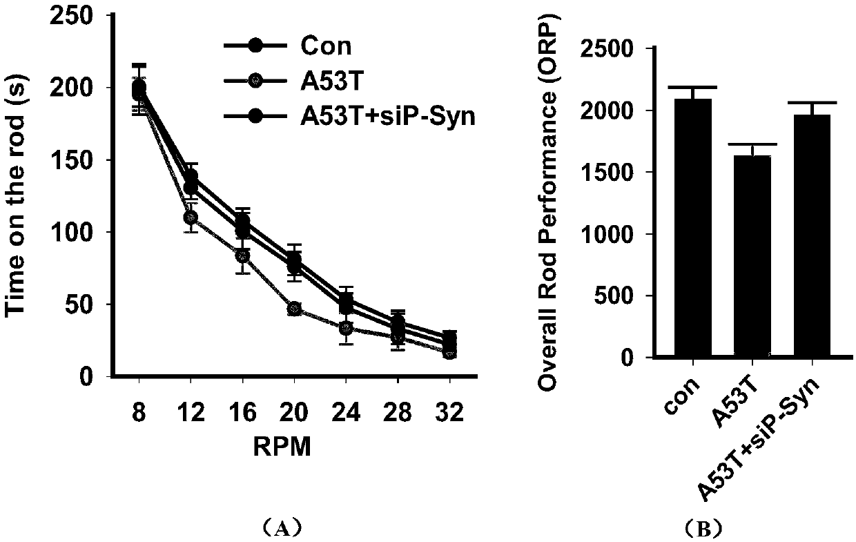 Micromolecule polypeptide and application thereof to preparation of medicines for preventing and treating Parkinson's disease