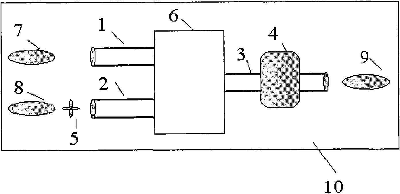 Respirator and oxygen concentration detection device and method